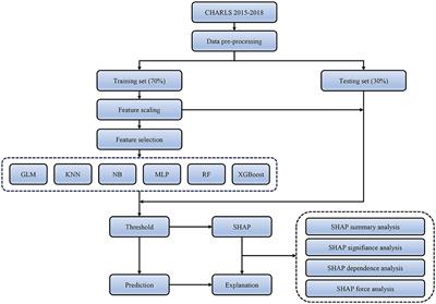 Disability risk prediction model based on machine learning among Chinese healthy older adults: results from the China Health and Retirement Longitudinal Study